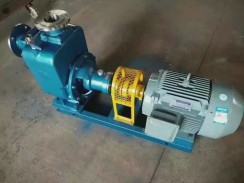 淄博不鏽鋼(gang)自吸泵