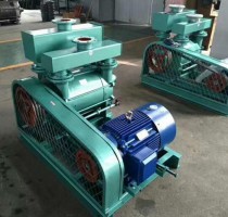 江蘇2BE水(shuǐ)環真空泵