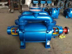 江蘇SK水(shui)環真空泵