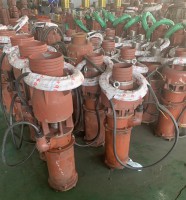 江蘇潛(qian)水泵