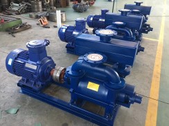 江(jiāng)蘇水環真空泵(beng)