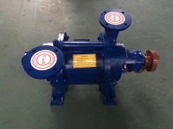 保定SZ水(shuǐ)環式真空泵