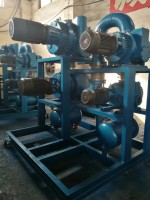 保定羅茨水環(huan)真空機組