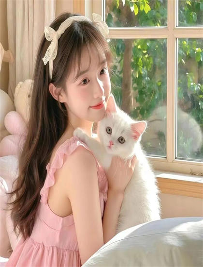 《水中漫步2004》有哪些精彩看点？亮点情节详细解析